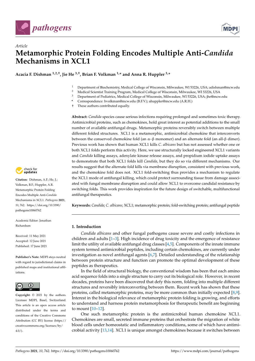 Metamorphic Protein Folding Encodes Multiple Anti-Candida Mechanisms in XCL1