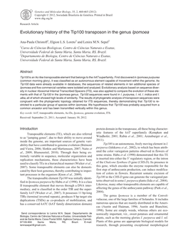 Evolutionary History of the Tip100 Transposon in the Genus Ipomoea