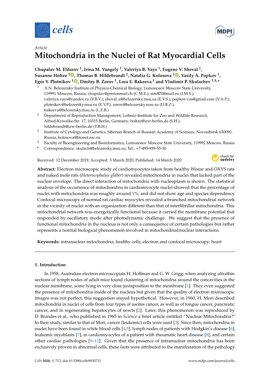 Mitochondria in the Nuclei of Rat Myocardial Cells