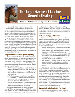 The Importance of Equine Genetic Testing