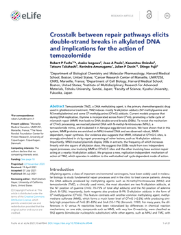 Crosstalk Between Repair Pathways Elicits Double-Strand Breaks In