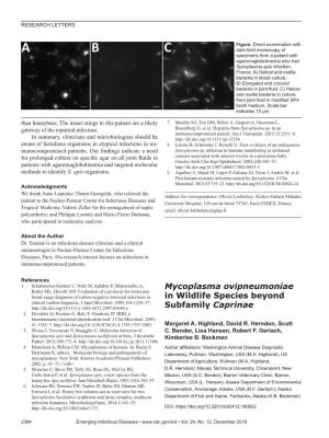Mycoplasma Ovipneumoniae Rotter ML, Hirschl AM