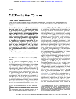 MITF—The First 25 Years