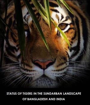 Status of Tigers in the Sundarban Landscape Bangladesh and India