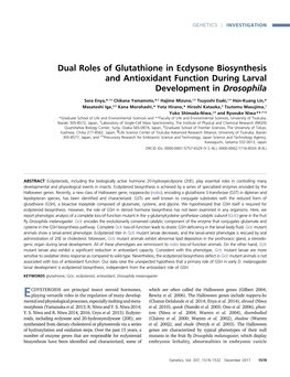 Dual Roles of Glutathione in Ecdysone Biosynthesis and Antioxidant Function During Larval Development in Drosophila