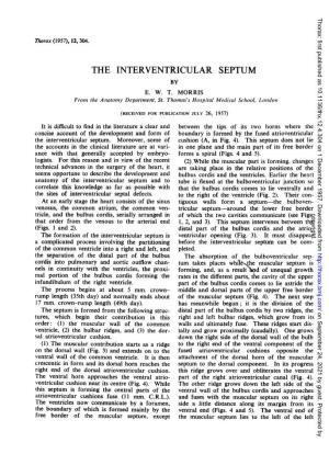 The Interventricular Septum by E