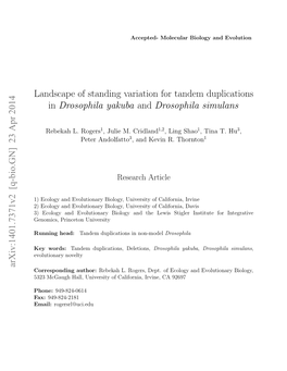 Landscape of Standing Variation for Tandem Duplications in Drosophila Yakuba and Drosophila Simulans