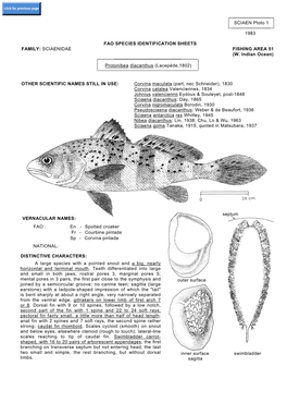 FAMILY: SCIAENIDAE FISHING AREA 51 (W. Indian Ocean) SCIAEN