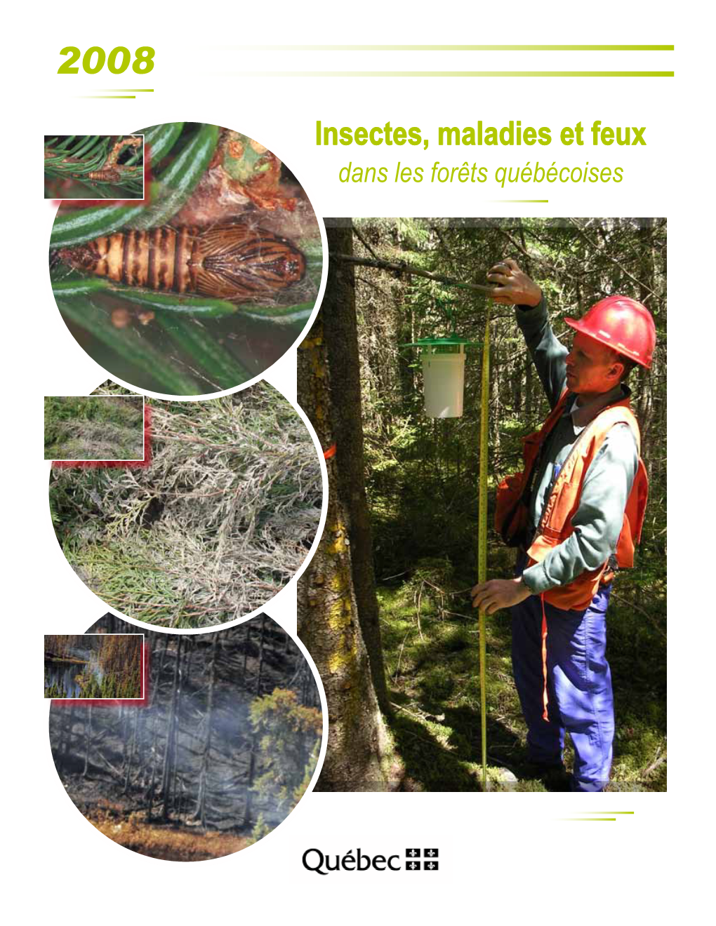 Insectes, Maladies Et Feux Dans Les Forêts Québécoises 2008