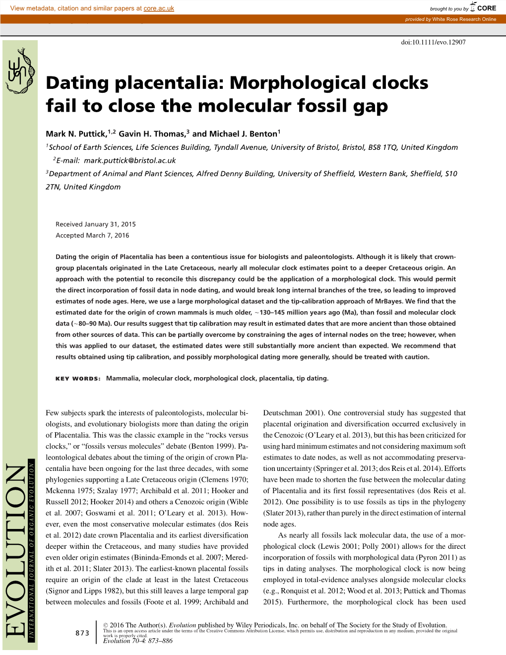 Dating Placentalia: Morphological Clocks Fail to Close the Molecular Fossil Gap