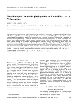 Morphological Analysis, Phylogenies and Classification in Velloziaceae