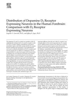 Distribution of Dopamine D3 Receptor Expressing Neurons in the Human Forebrain: Comparison with D2 Receptor Expressing Neurons Eugenia V