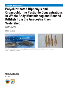Polychlorinated Biphenyls and Organochlorine Pesticide Concentrations in Whole Body Mummichog and Banded Killifish from the Anacostia River Watershed: 2018-2019