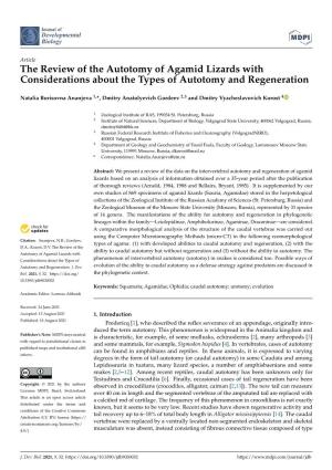 The Review of the Autotomy of Agamid Lizards with Considerations About the Types of Autotomy and Regeneration