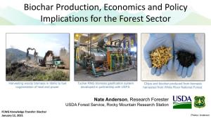 Biochar Production, Economics and Policy Implications for the Forest Sector