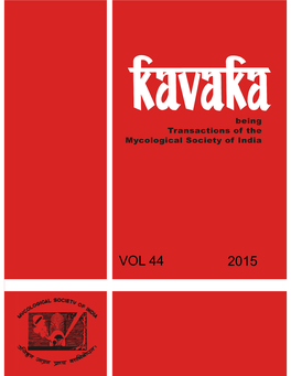 Kavaka Title Curve-44.Cdr