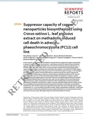 Suppressor Capacity of Copper Nanoparticles Biosynthesized Using Crocus Sativus L. Leaf Aqueous Extract on Methadone-Induced
