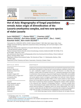 Out of Asia: Biogeography of Fungal Populations Reveals Asian Origin of Diversiﬁcation of the Laccaria Amethystina Complex, and Two New Species of Violet Laccaria