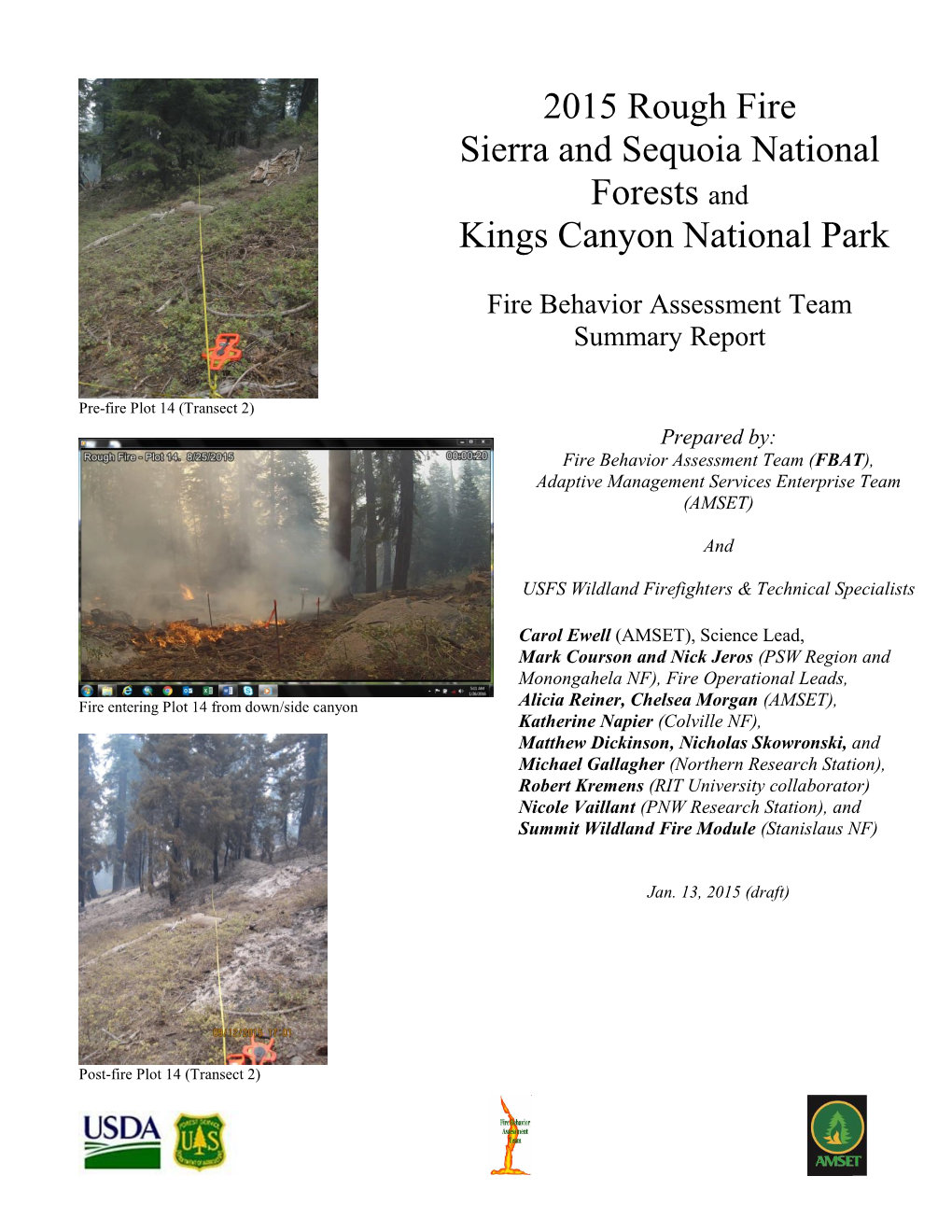 Lion Fire Fuels Report