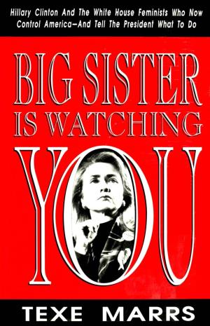 Big Sister Is Watching You