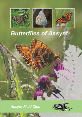 Butterflies of Assynt 4 For