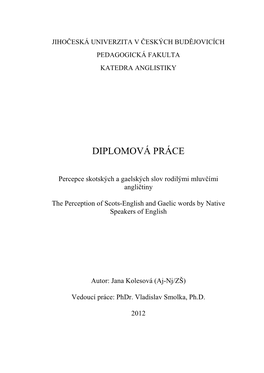 Diplomová Práce