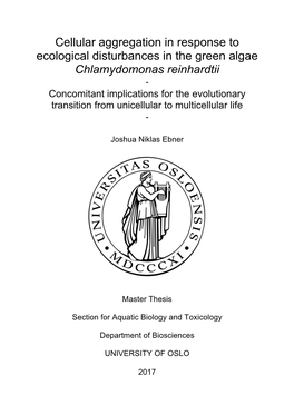 Chlamydomonas Reinhardtii - Concomitant Implications for the Evolutionary Transition from Unicellular to Multicellular Life