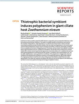 Thiotrophic Bacterial Symbiont Induces Polyphenism in Giant Ciliate Host