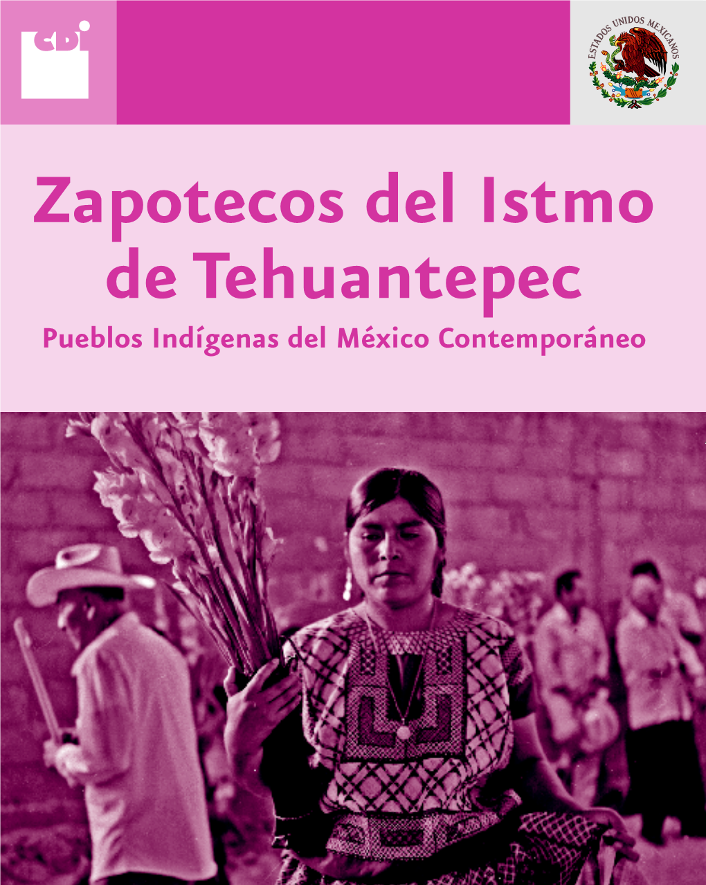 Zapotecos Del Istmo De Tehuantepec Pueblos Indígenas Del México ...