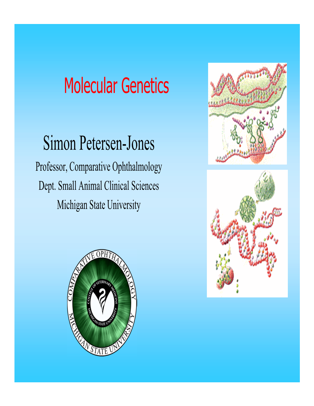 Molecular Genetics Simon Petersen-Jones