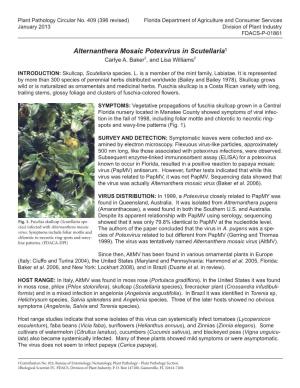 Alternanthera Mosaic Potexvirus in Scutellaria1 Carlye A