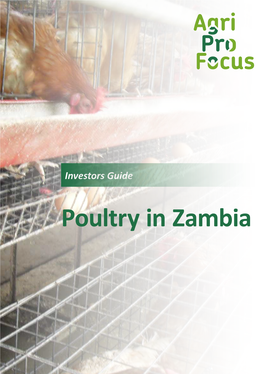 Investors Guide on Poultry in Zambia