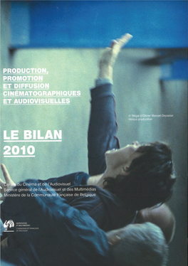Bilan 2010 Du Centre Du Cinéma Et De L'audiovisuel