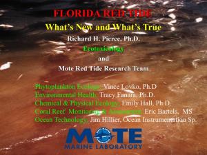 Harmful Algal Blooms (The Florida Red Tide)