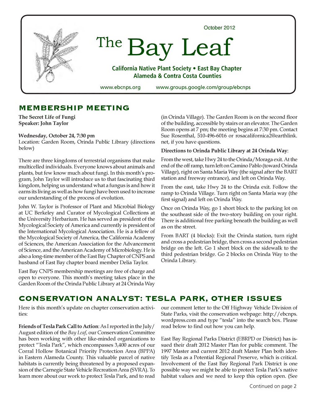 The Bay Leaf