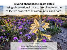 Beyond Phenological Onset Dates: Using Observational Data to Detect the Effects of Climate on Collective Properties of Communit