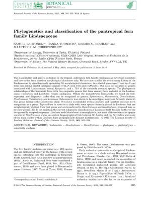 Phylogenetics and Classification of the Pantropical Fern Family Lindsaeaceae