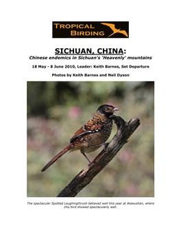 SICHUAN, CHINA: Chinese Endemics in Sichuan's 'Heavenly' Mountains