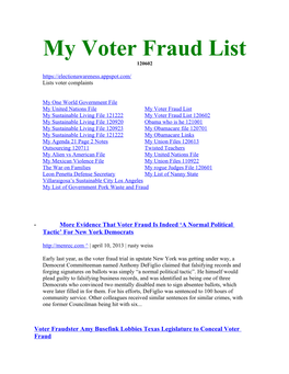 Voter Fraud 120406