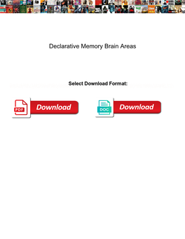 Declarative Memory Brain Areas