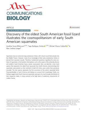 Discovery of the Oldest South American Fossil Lizard Illustrates The