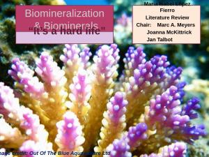 Biomineralization & Biominerals “It's a Hard Life”