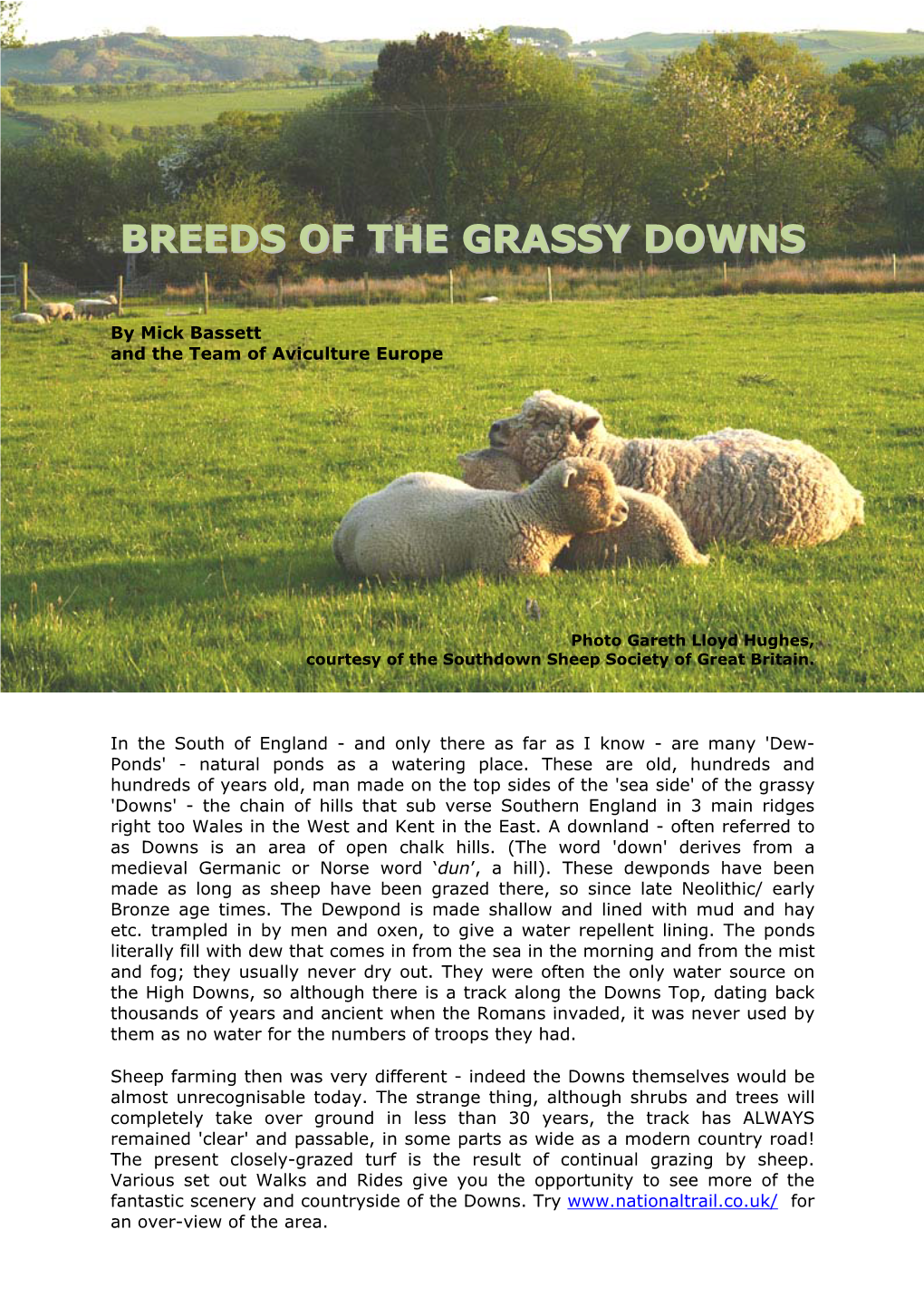 Breeds of the Grassy Downs’