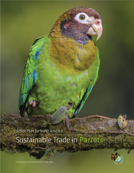 Sustainable Trade in Parrots