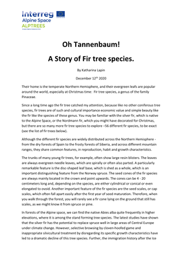 Oh Tannenbaum! a Story of Fir Tree Species
