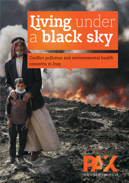 Conflict Pollution and Environmental Health Concerns in Iraq