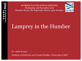 Lamprey in the Humber