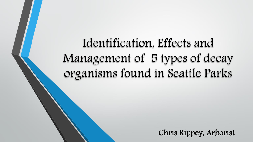 Identification, Effects and Management of 5 Types of Decay Organisms Found in Seattle Parks