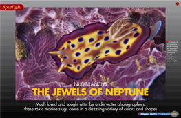 The Jewels of Neptune