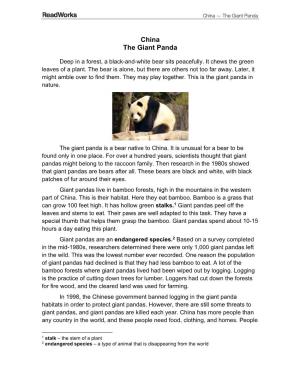 China the Giant Panda